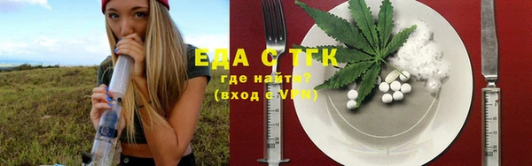 индика Гусь-Хрустальный