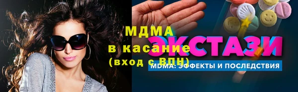 индика Гусь-Хрустальный