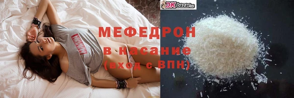 индика Гусь-Хрустальный