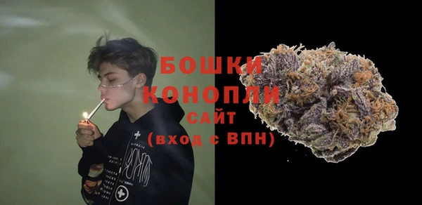 индика Гусь-Хрустальный