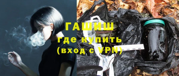 индика Гусь-Хрустальный