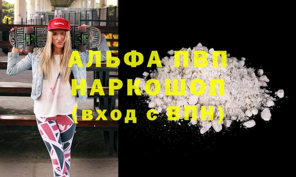 индика Гусь-Хрустальный