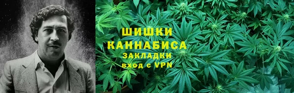 индика Гусь-Хрустальный