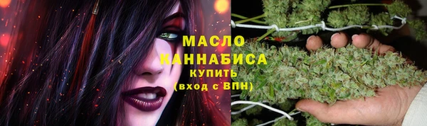 индика Гусь-Хрустальный